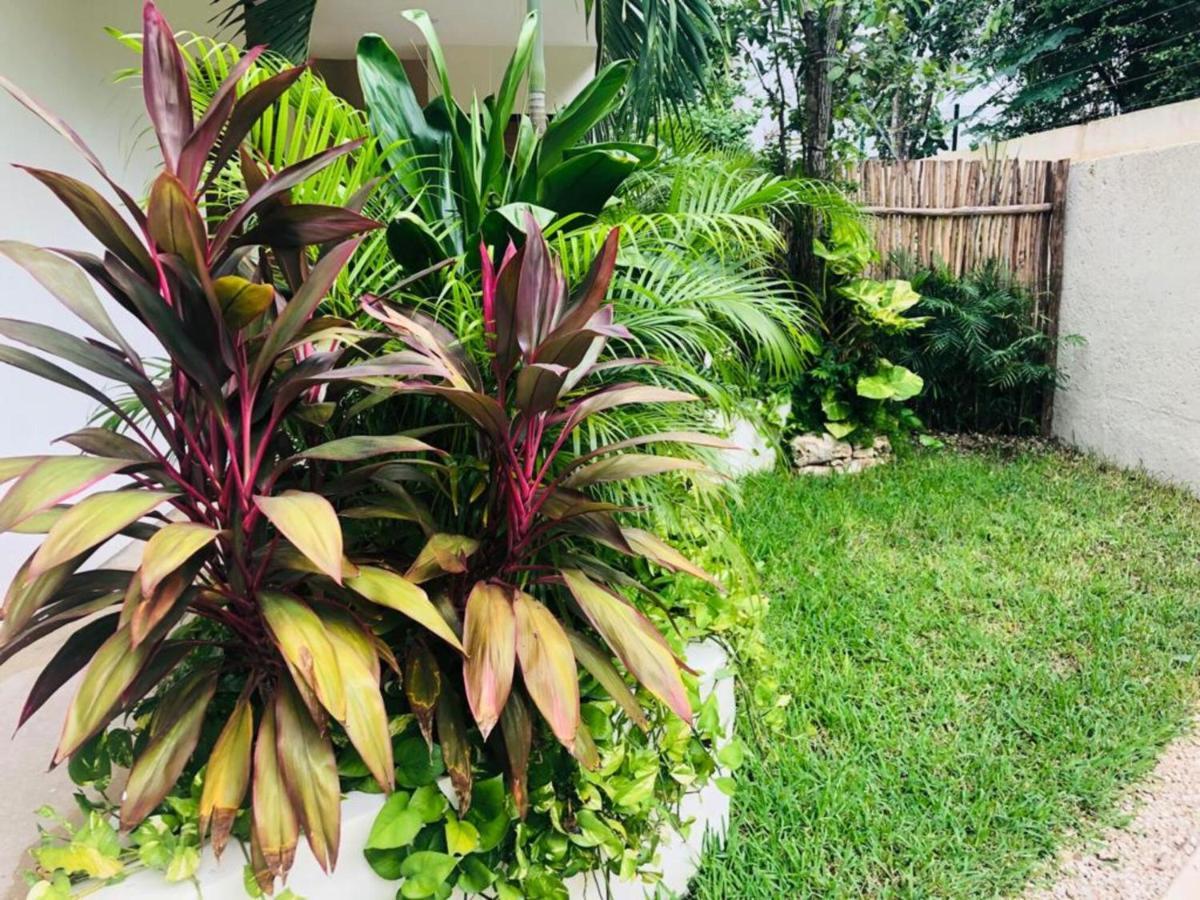 Casa Leo Apartment Tulum Ngoại thất bức ảnh