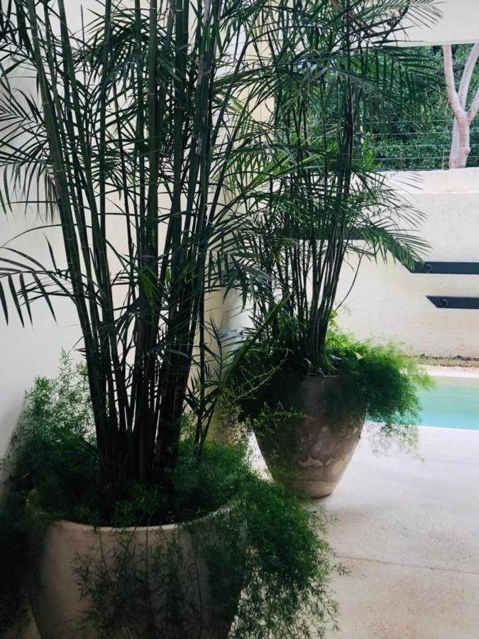 Casa Leo Apartment Tulum Ngoại thất bức ảnh